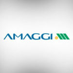maggi
